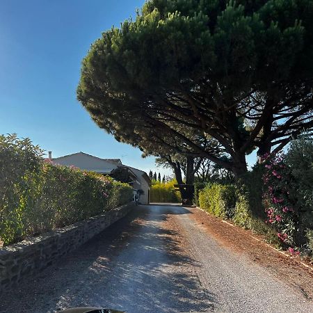Villa Alba Saint-Tropez Dış mekan fotoğraf