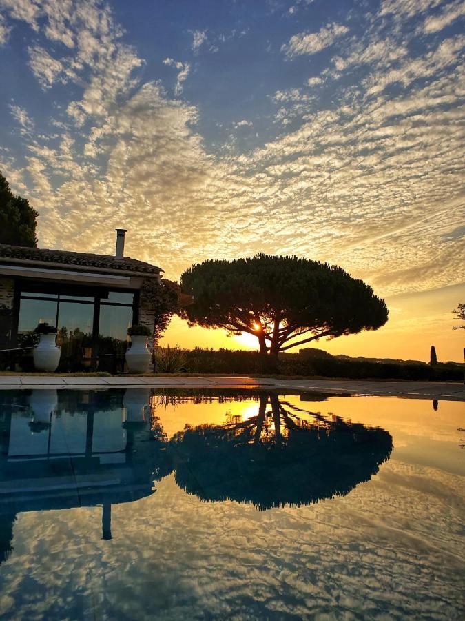 Villa Alba Saint-Tropez Dış mekan fotoğraf