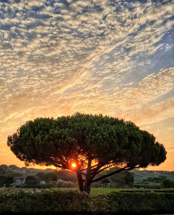 Villa Alba Saint-Tropez Dış mekan fotoğraf