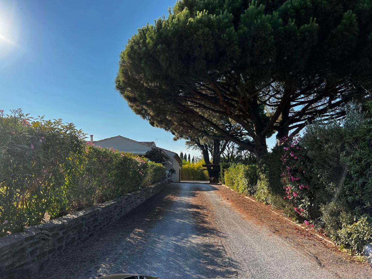 Villa Alba Saint-Tropez Dış mekan fotoğraf