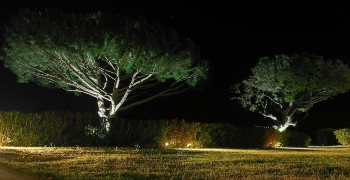 Villa Alba Saint-Tropez Dış mekan fotoğraf